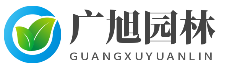 石家庄庭院装修公司